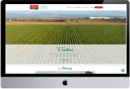 websites